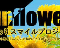 ひまわりスマイルプロジェクト（崇徳厚生事業団Letter令和6年8月号）